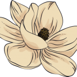 Magnolia flower logo art
